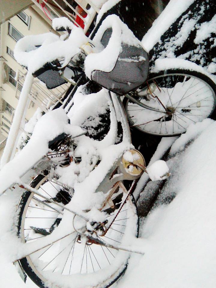 Những hình ảnh rùng mình trong bão tuyết kỷ lục tại Tokyo: Hàng trăm chuyến bay bị hủy, xe đạp đóng băng ngoài trời